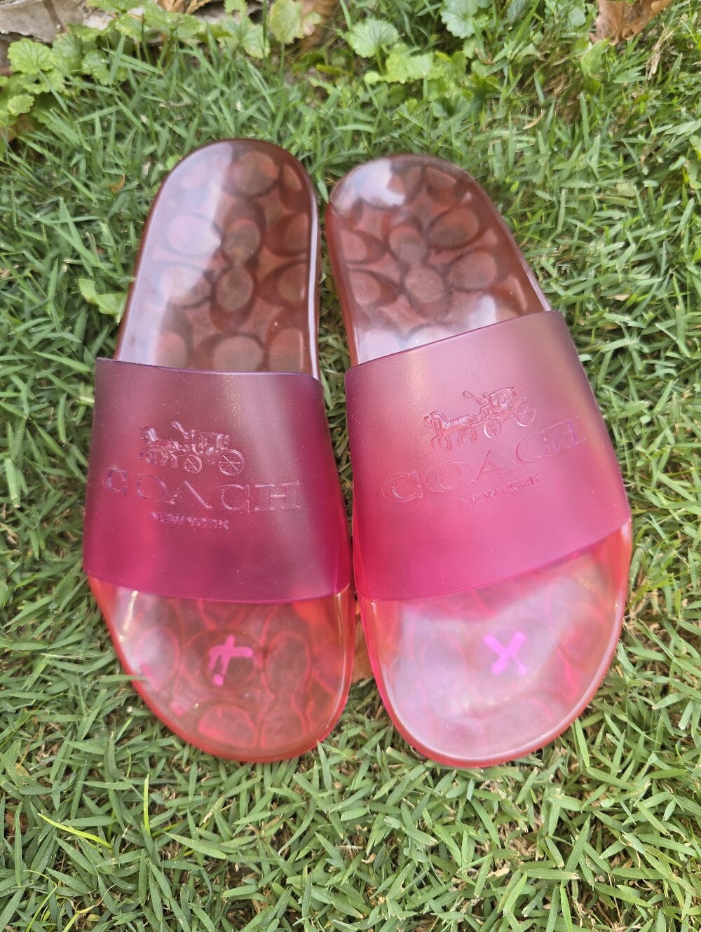COACH Alyssa Jelly Slides Sandals